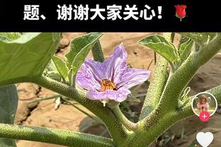 里程碑！本泽马成历史首位在4届世俱杯上均有进球的球员